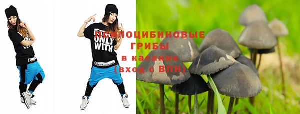 трава Балахна