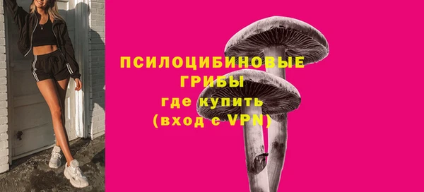 прущая мука Туринск