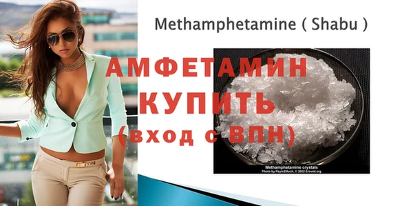 индика Тутаев