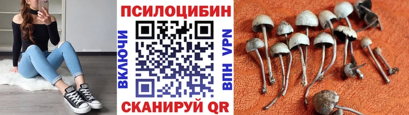 Галлюциногенные грибы GOLDEN TEACHER  Кыштым 
