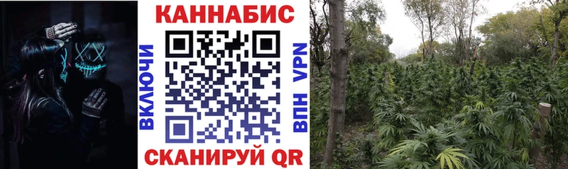 блэк спрут tor  Кыштым  Каннабис гибрид  где найти  